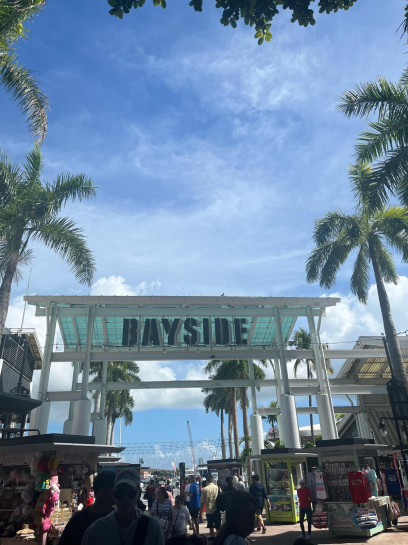 original Miami Bilder 7